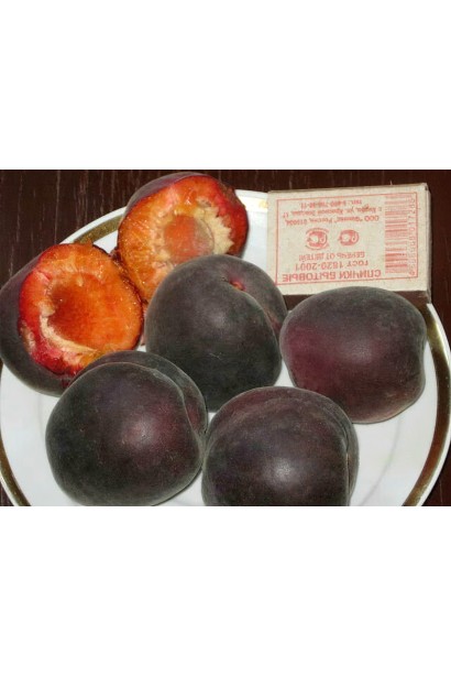 Чорні абрикоси ‘Монарезі’ 